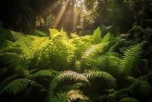 A Beautiful Garden With Sunlight Shining Through Lush Fern Leaves, Creating A Warm Atmosphere. Generative AI