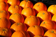 c'est l hiver les oranges