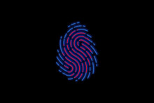 Fingerprint In Glow On A Black Background, Password And Security, Fingerprint Pattern