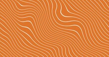 Abstract Thin White Color Wavy Line Over Orange Color Background. Wavy Lines Flowing Grey White Background Seamless Loop. Flat Animated Motion Graphic Background.