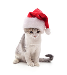 Sticker - Kitten in Christmas hat.