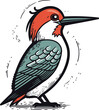 Red bellied Woodpecker. Hand drawn vector illustration.
