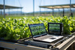 A laptop computer sitting on top of a table in a greenhouse with lettuce and vegetables. Electronic automated growing.