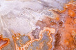 agate, quartz geode in petrified wood macro detail texture. close-up polished semi-precious gemstone.
