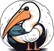 Pelican vector illustration. Isolated pelican on white background.