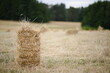 A bale of hay on a mown field on a cloudy day