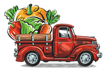 Retro Farm Pickup Truck And Organic Fresh Vegetables. Natural Healthy Food Vector Illustration