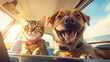 Cute dog and cat in the car
