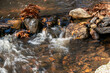 autumn along trap falls  brook