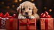 A fluffy puppy and a lot of presents. Concept of holidays and gifts. AI generated content.