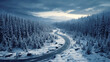 Road in winter forest, aerial view of snowy woods at sunset. Landscape with path, snow, trees and sky. Concept of nature, travel, Siberia, Norway, country, season, flight