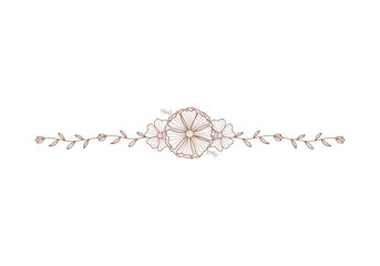 Poster - blossom flower line divider for footer or header decoration. Vector hand drawn wedding flower decoration