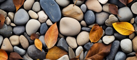 Canvas Print - Natural stones with various patterns and surfaces are accompanied by nearby dried leaves