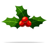Fototapeta Miasto - Christmas holly berries vector isolated illustration