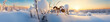 A Banner Photo of an Ant in a Winter Setting