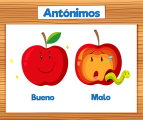 Wall Mural - Educational Antonyms Spanish Picture Word Card good and bad