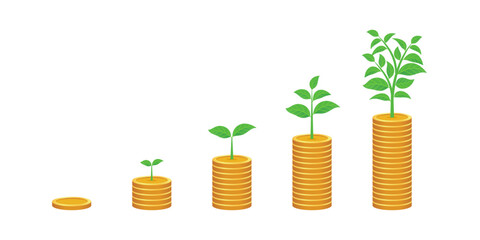 money growth illustration, business concept for investment