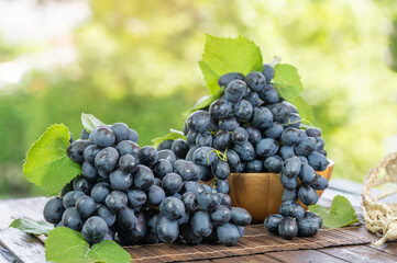 Wall Mural - Black grapes with leaves in wooden basket on wooden table in garden, Black or Purple grape with leaves in blur background.