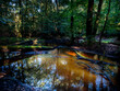 © HollandPhotostock.nl - Hierdensebeek, Gelderland province, The Netherlands