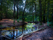 © HollandPhotostock.nl - Hierdensebeek, Gelderland province, The Netherlands