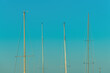 Boat masts against blue sky