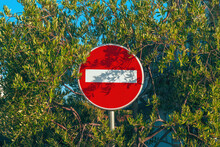 No Entry traffic sign surrounded with olive branches in summer morning
