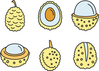 Poster - Asian lychees icons set. Outline set of asian lychees vector icons thin line color flat on white