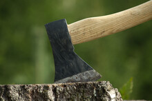 Axe Stuck In Tree Stump In Background Of Forest