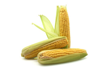 Wall Mural - Maize on the cob with leaves over white background