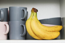 Bananas In Kitchen Cabinet. Coffee Mugs. Tea Cups. Milk Soup Bowls. Yellow Fruits In Kitchen. Open Door Kitchen Cabinet With Hidden Bananas Inside. Ripe Bananas With Small Brown Stains.