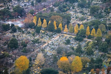 Sticker - Tokyo Aoyama Cemetery