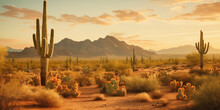 Cactus In The Desert Nature Background