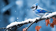 Blue Jay Perching On Tree Branch In Winter Landscape Generated By AI Tool 