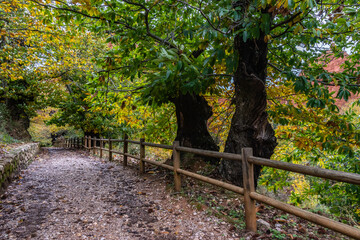 Landscape in Las Médulas, León. It is an ancient gold mine of roman empire (I and II century BC) in Spain and World Heritage 