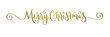 3D render of wide MERRY CHRISTMAS metallic gold brush calligraphy banner on transparent background