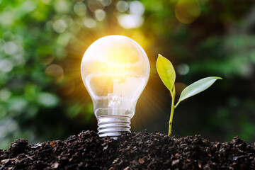Wall Mural - light bulbs convey the concept of clean energy growth and business growth. start up business concept