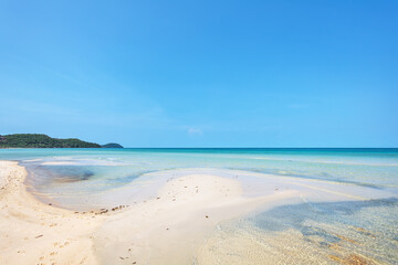 Wall Mural - Exotic tropical beach.