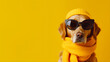 © Anna - Fashionable dog wearing sunglasses and a yellow scarf.