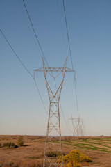 Wall Mural - power lines on the field