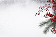 © Sabina Gahramanova - christmas card with branch and red berries on white, holiday christmas background with green fir branches with red berries, christmas greeting