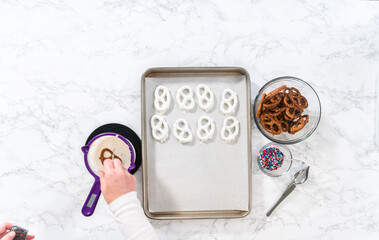 Poster - Red White and Blue Chocolate Covered Pretzel Twists