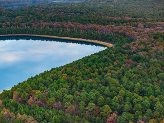 Wall Mural - Trees around a lake from an aerial view