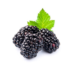 Sticker - Sweet blackberry with leaves