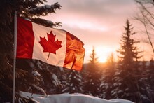 Beautiful Canadian Flag In The Cold Winter