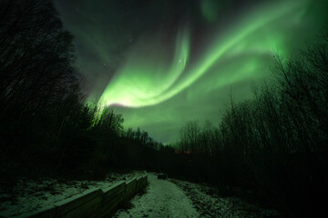 light the way