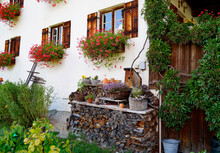Rustic Windows With Cute White Curtains, Wooden Shutters And Red Geraniums On The Window Ledge And A Pile Of Firewood In The Bavarian Alpine Countryside Schwangau In The German Alps, Bavaria, Germany