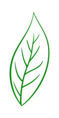 Sticker - Tree Leaf