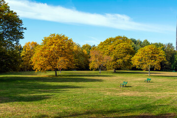 Wall Mural - Squibnocket Park on an autumn day, Watertown, MA, USA