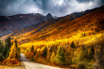 Wall Mural - Colorado mountain road at autumn