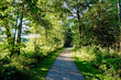 path in the park , image taken in rugen, north germany, europe
